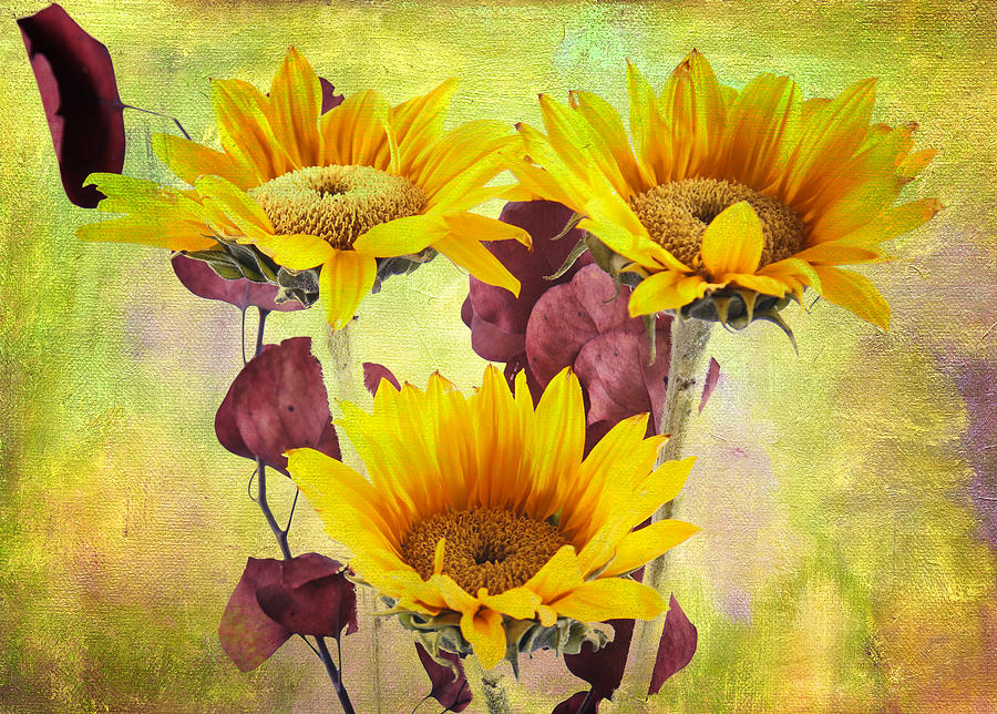 Sunflowers No 406 Photograph by James Bethanis