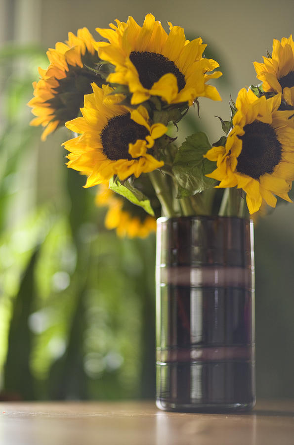 Sunflowers To The Sun Photograph