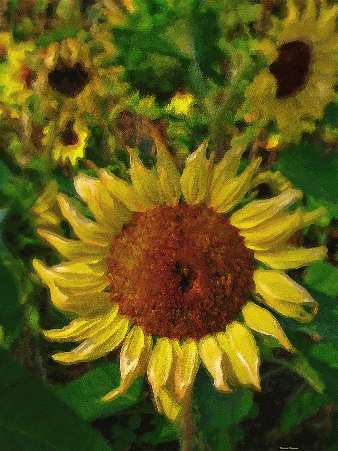 Sunflowers Digital Art by Vladimir Rayzman - Fine Art America