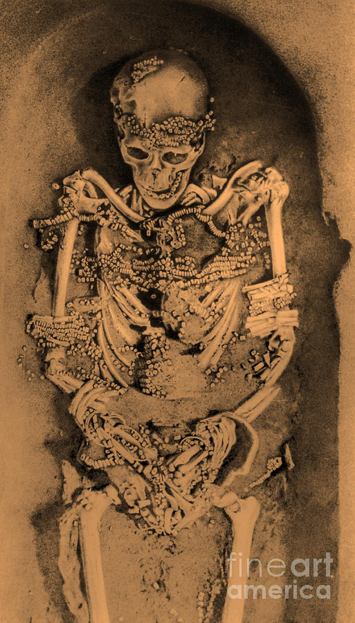 Sunghir Remains Photograph by Science Source