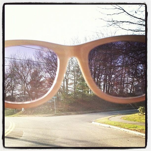 Sunglasses Give You A Whole New Photograph by Caitlin Salvitti