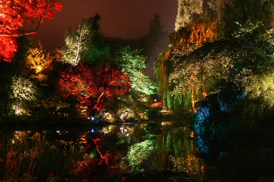 Sunken Garden at Night Photograph by Kevin Maguire