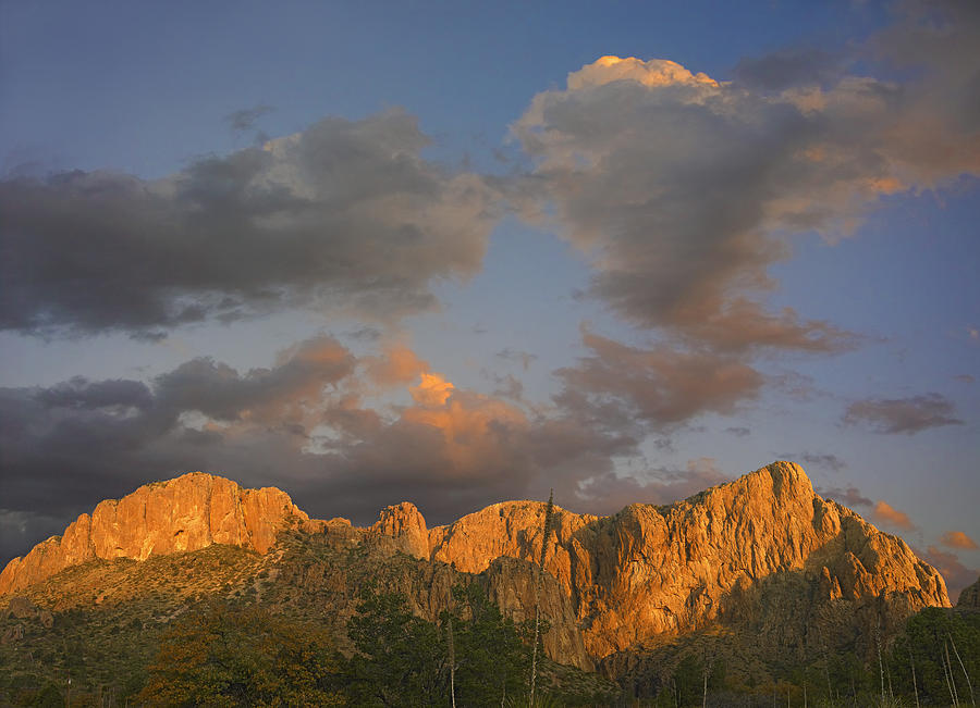 Sunlight Illuminating Chisos Mountains Photograph by Tim Fitzharris