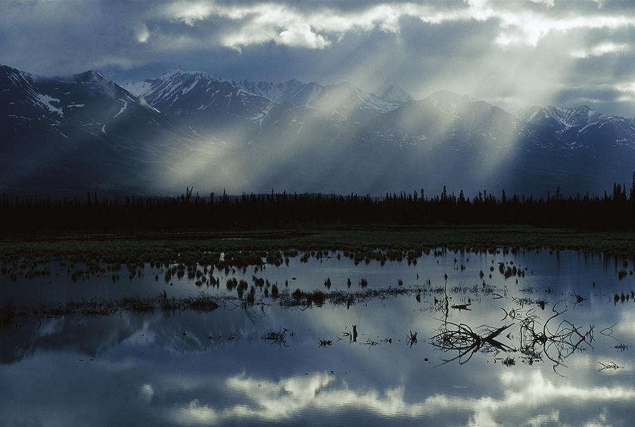 Sunlight on a Boreal Pond Photograph by Michael Quinton