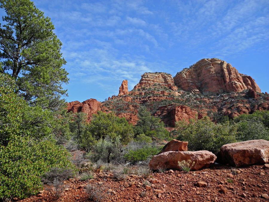 Sunlight Washes The Rugged Land by Lynda Lehmann