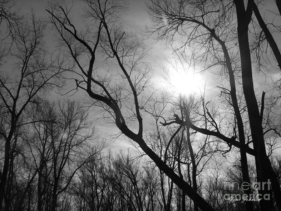 Black And White Photograph - Sunlight  by Yumi Johnson