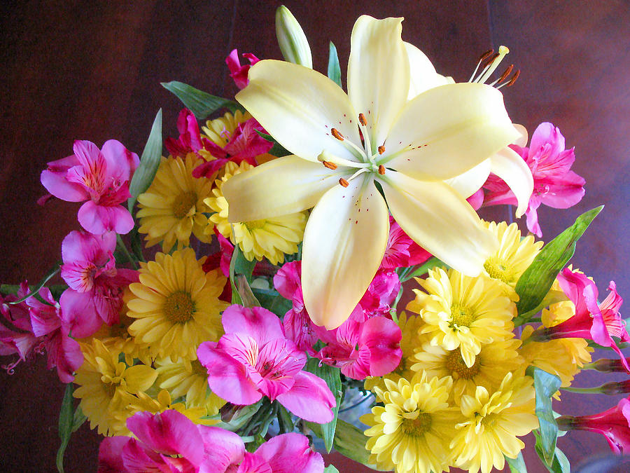 Sunny Bouquet Photograph by Connie Fox