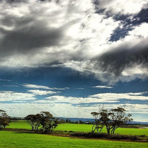 Sunny Hill, South Australia Photograph by Raam Dev