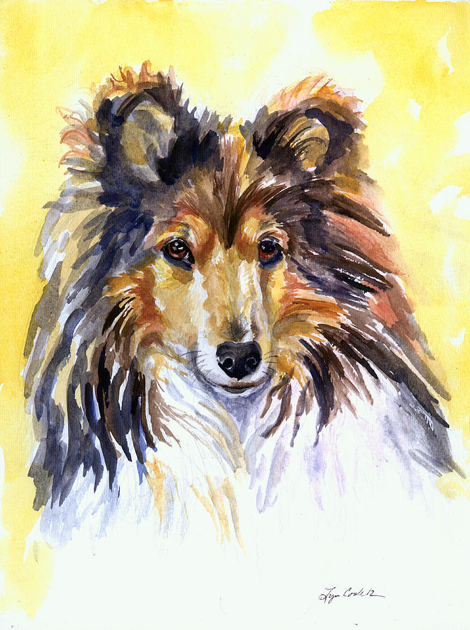 Animal Painting - Sunny Sheltie by Lyn Cook