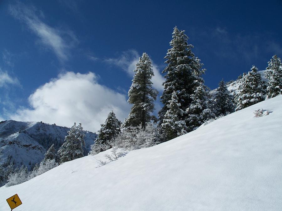 Fresh Powder Snow On Ski Slope Of Sun by Ryan Mcvay