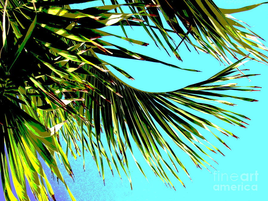 Sunny Tropical Afternoon Photograph by Ann Powell