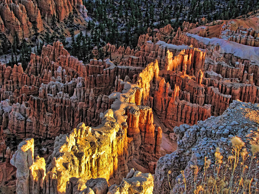 Sunrise at Bryce Canyon 10 Photograph by Helaine Cummins
