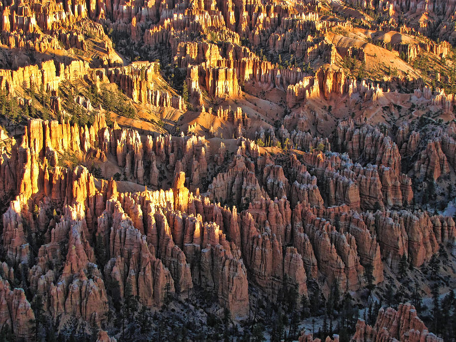 Sunrise at Bryce Canyon 11 Photograph by Helaine Cummins