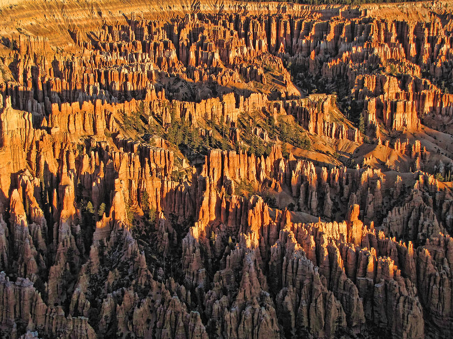Sunrise at Bryce Canyon 12 Photograph by Helaine Cummins