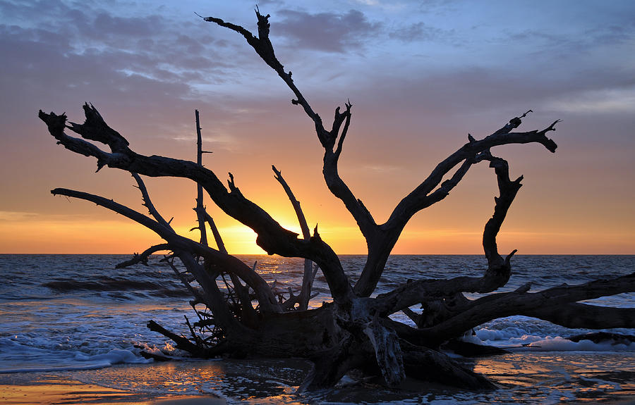 Sunrise at Driftwood Beach 5.2 Photograph by Bruce Gourley