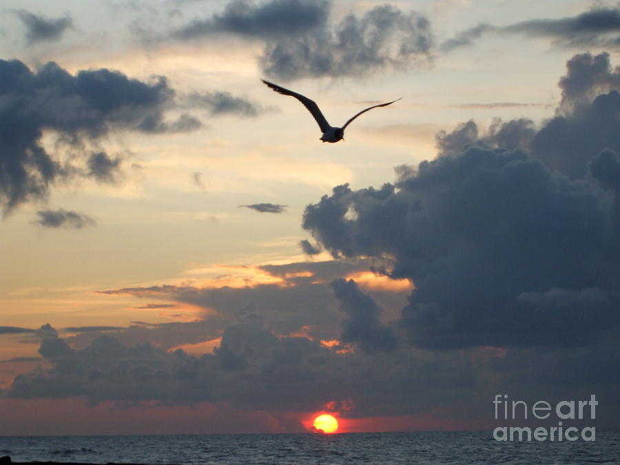 Sunrise at Edisto Beach - 03 Photograph by Sherrie Winstead