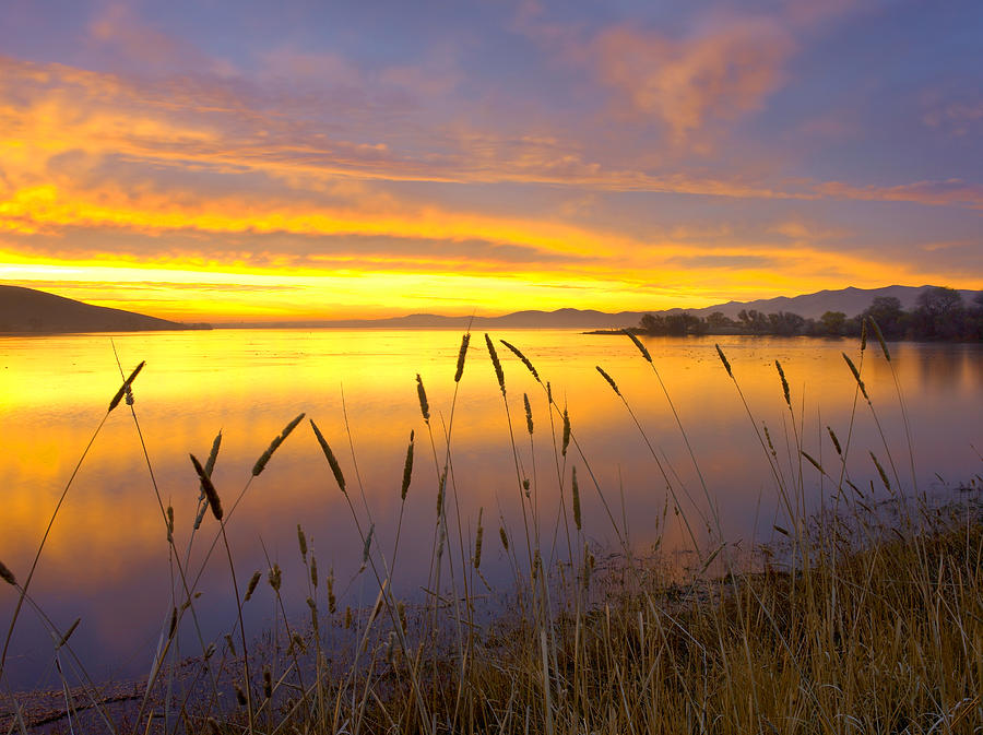 Sunrise At San Luis Reservoir San Photograph by Tim Fitzharris
