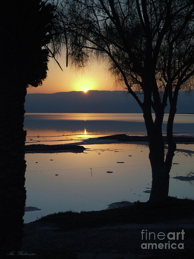 Sunrise at the Dead Sea 05 Photograph by Arik Baltinester