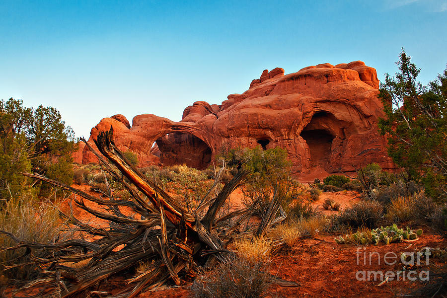 Arches National Park Photograph - Sunrise at the Double Arches by Robert Bales