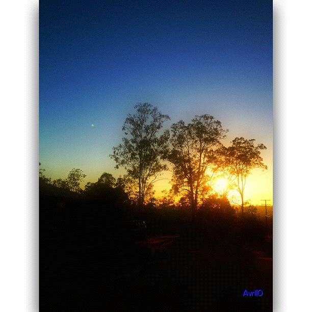 Sunrise Photograph by Avril O
