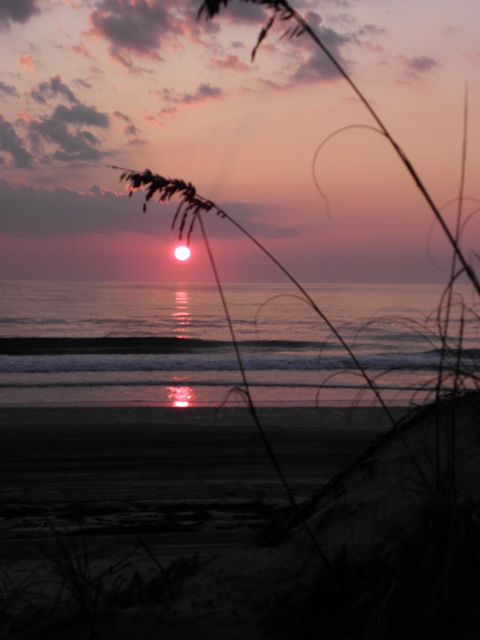 Sunrise behind the dunes Photograph by Kim Galluzzo