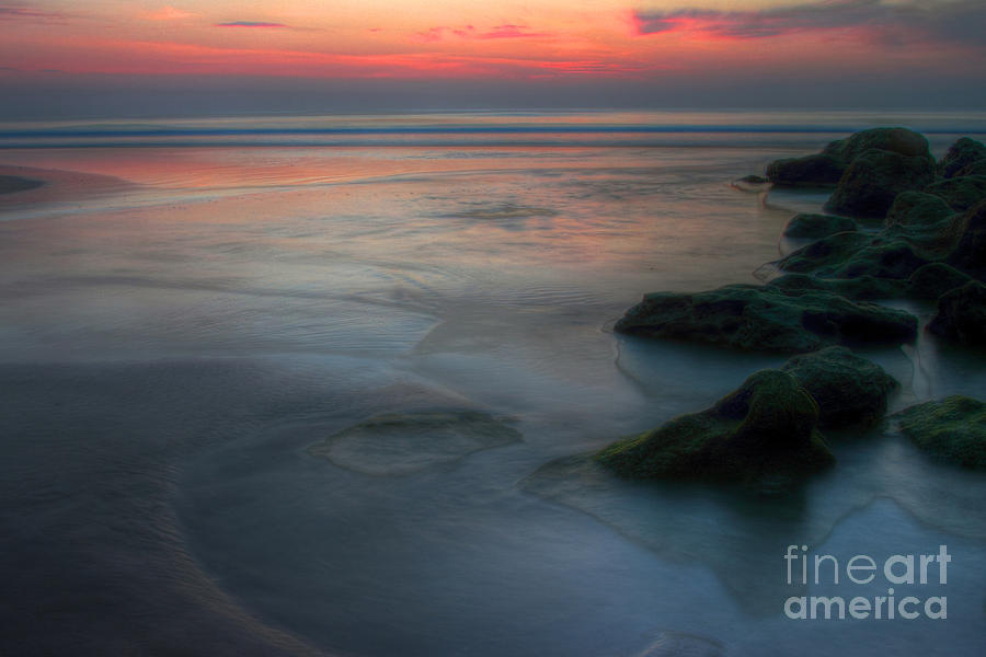 Nature Photograph - Sunrise Colors by Rick Mann