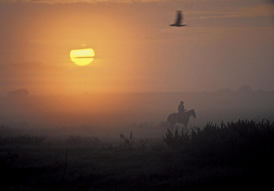 Nature Photograph - Sunrise cowboy. Llanero al amanecer by Juan Carlos Lopez
