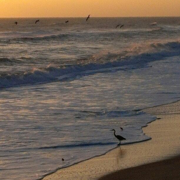 Beach Photograph - Sunrise #florida #floridana by Dan Piraino