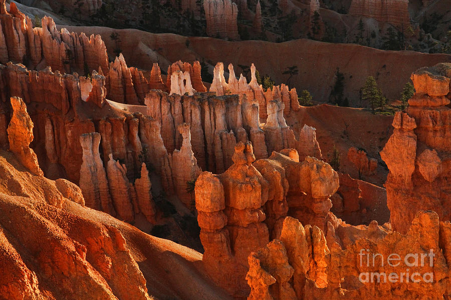 Sunrise in Bryce 3 Photograph by Edward R Wisell