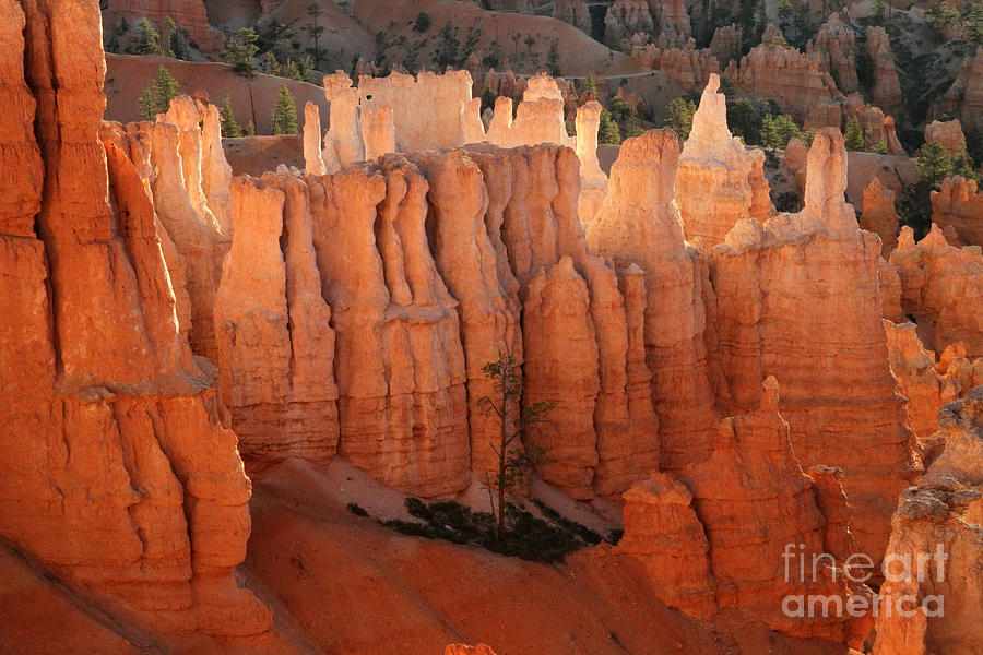Sunrise in Bryce Photograph by Edward R Wisell