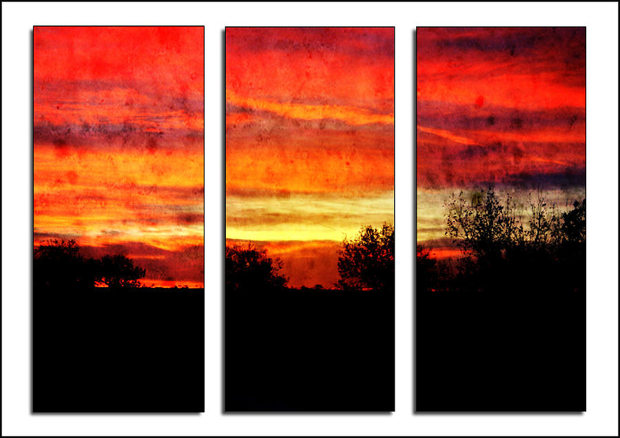Sunrise in Eastern Colorado - Triptych Photograph by Ellen Heaverlo