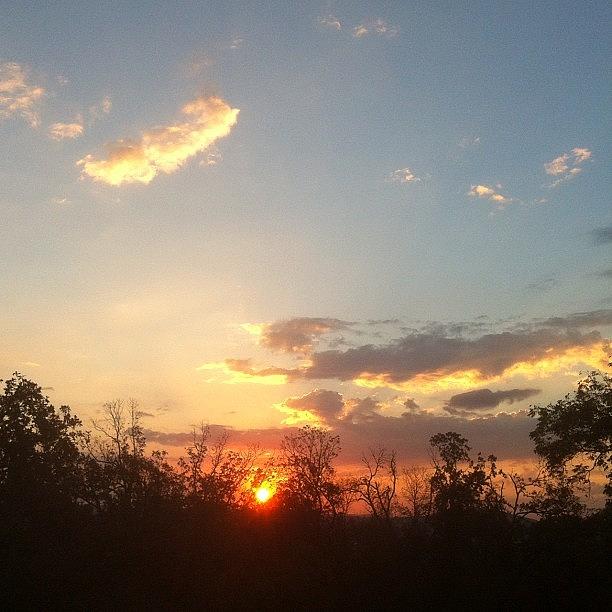 Sunrise In Fayetteville Photograph by Nadine Rippelmeyer