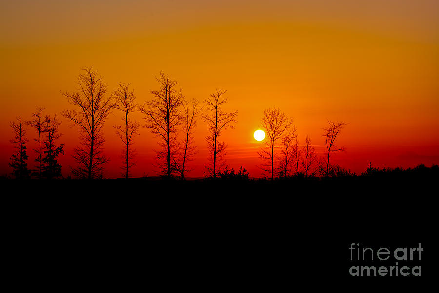 Nature Photograph - Sunrise in Pittsylvania County by Mark East