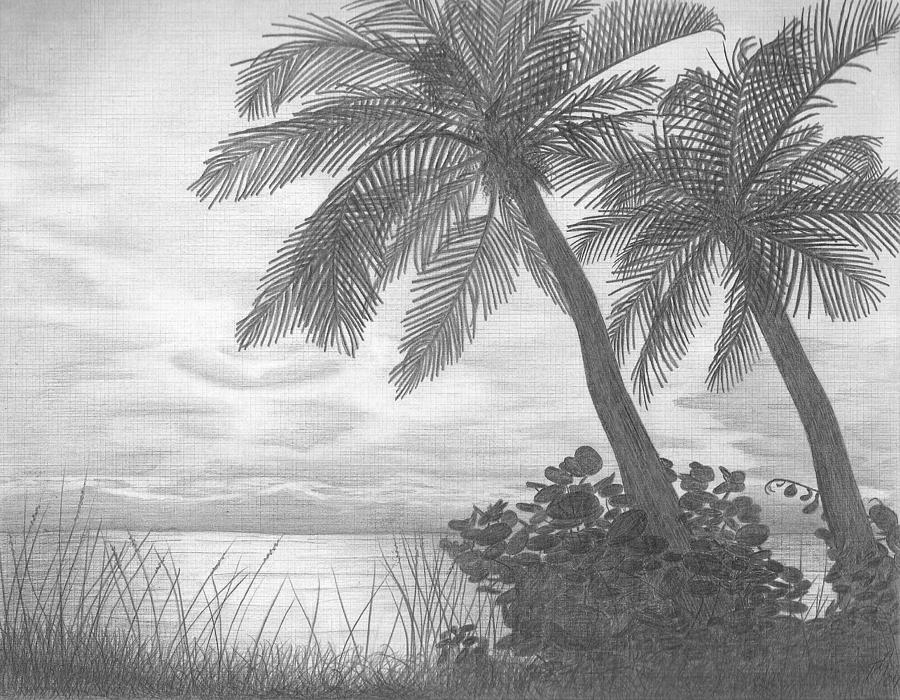 Pencil Drawing Of Natural Scenery Sunrise