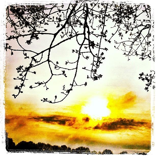 Jj Photograph - #sunrise In #venray When Walking The by Wilbert Claessens