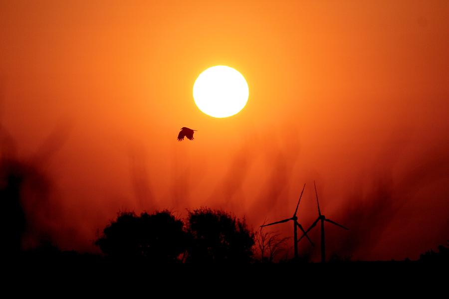 Sunrise in West Texas Photograph by Elizabeth Budd