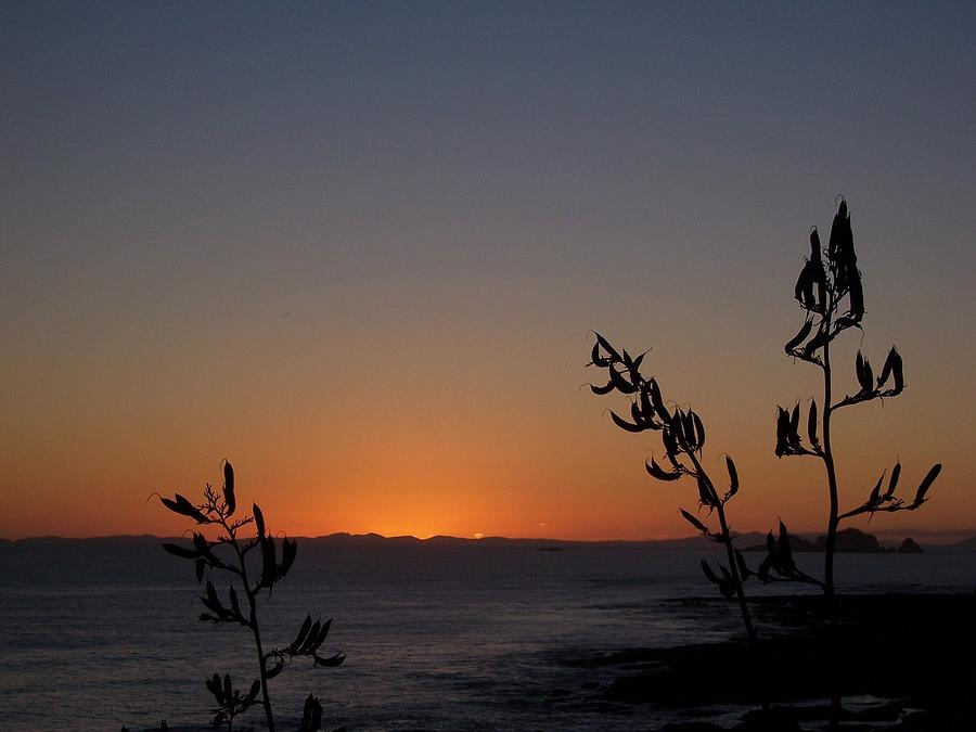 Sunrise on East Coast of North Island 2 Photograph by Peter Mooyman