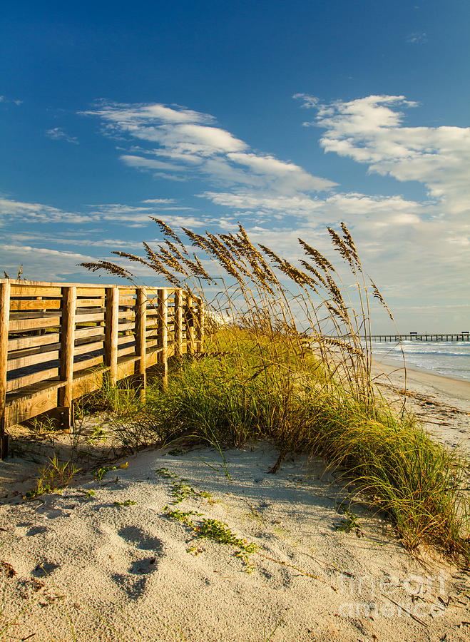 Beach Photograph - Sunny Day on the Boardwalk Amelia Island Florida by Dawna Moore Photography