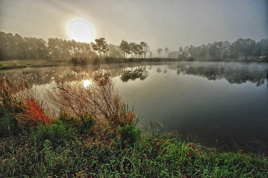 Sunrise on the Pond Photograph by Michael Thomas