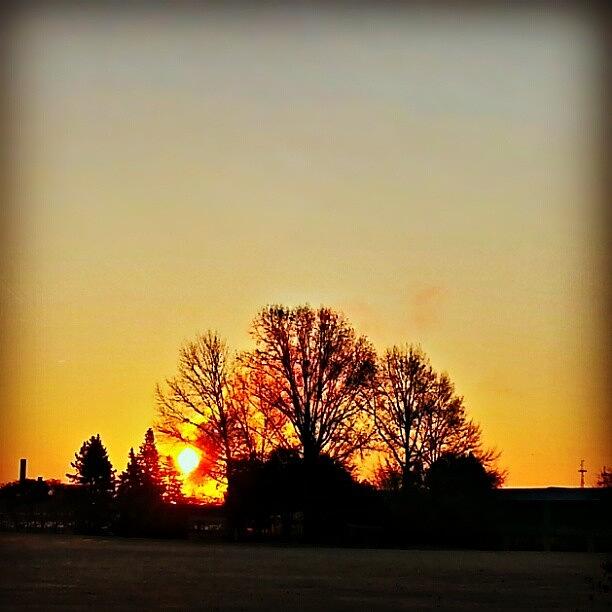 Instagram Photograph - Sunrise Over Dearborn #followme  #ig by Fotochoice Photography