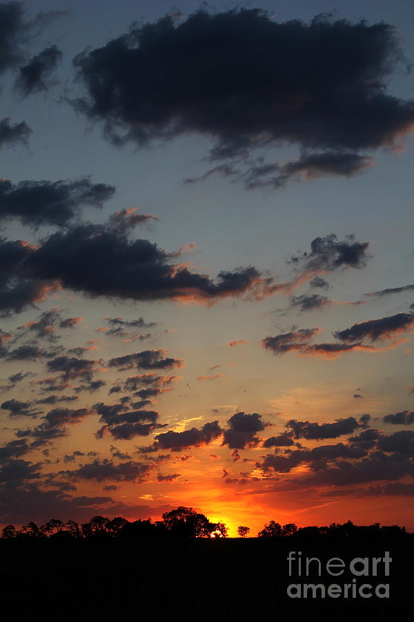 Sunrise Over Field Photograph by Everett Houser