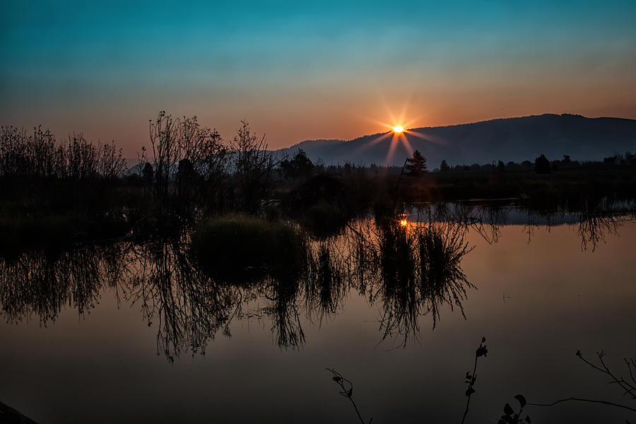 Sunrise over the Beaver Pond Photograph by Ronald Lutz