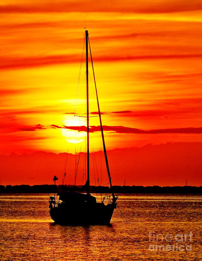 Sunrise Sailing Photograph by Nick Zelinsky Jr