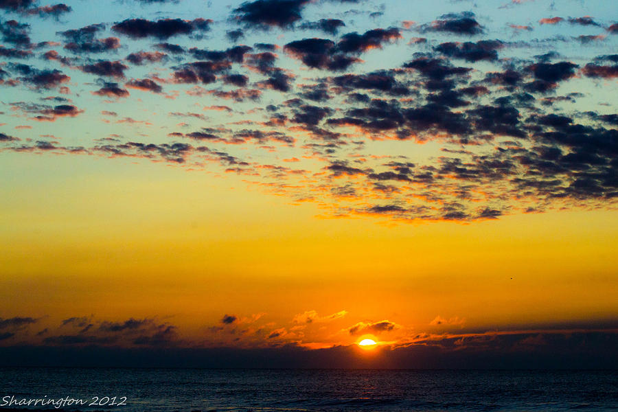 Sunrise Photograph by Shannon Harrington