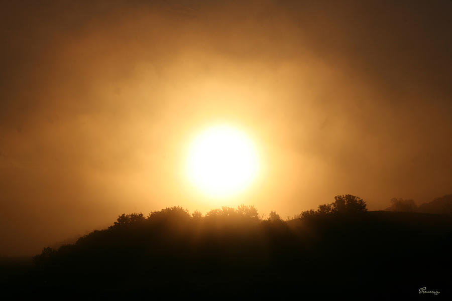 Sunrise through Fog Photograph by Andrea Lawrence