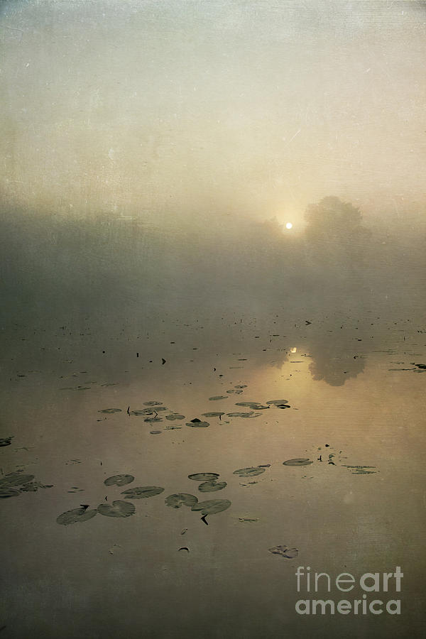 Pond Photograph - Sunrise through mist by Paul Grand