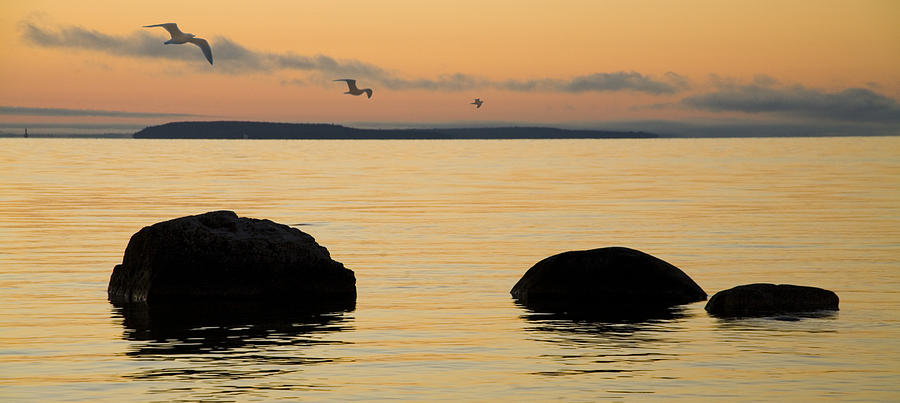 Sunrise with Gulls at St. Ignace Michigan Photograph by Randall Nyhof