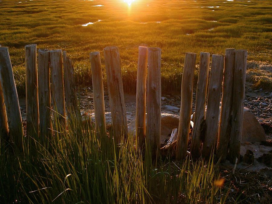SUNSCAPES A long forgotten fence on the St. Lawrence river Photograph by William OBrien