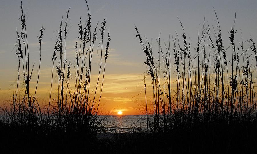 Sunset - Seaoats Photograph by Kirk Stanley