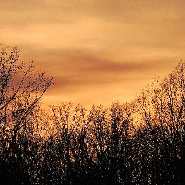 Tree Photograph - Sunset & Trees by Kelli Stowe